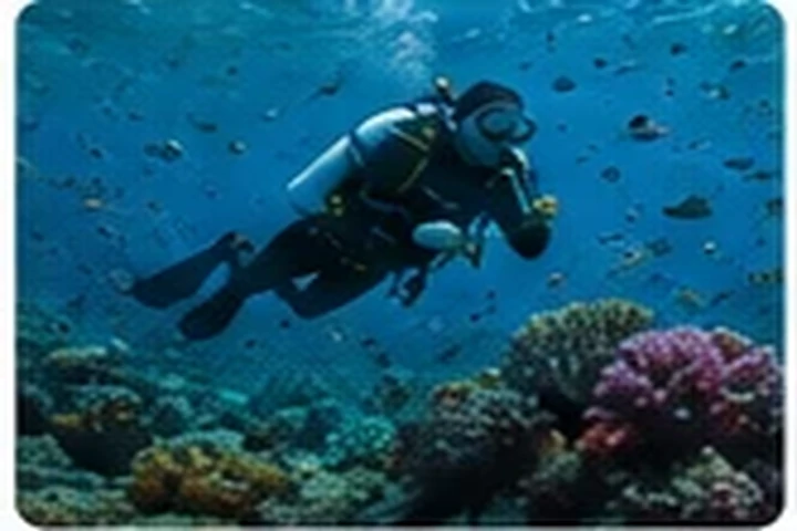 Diving & Snorkeling in the Maldives