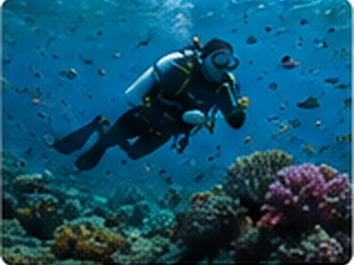 Diving & Snorkeling