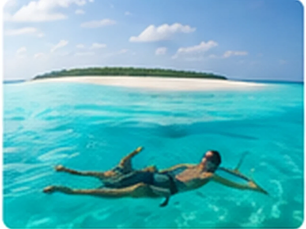 Sandbank Excursions